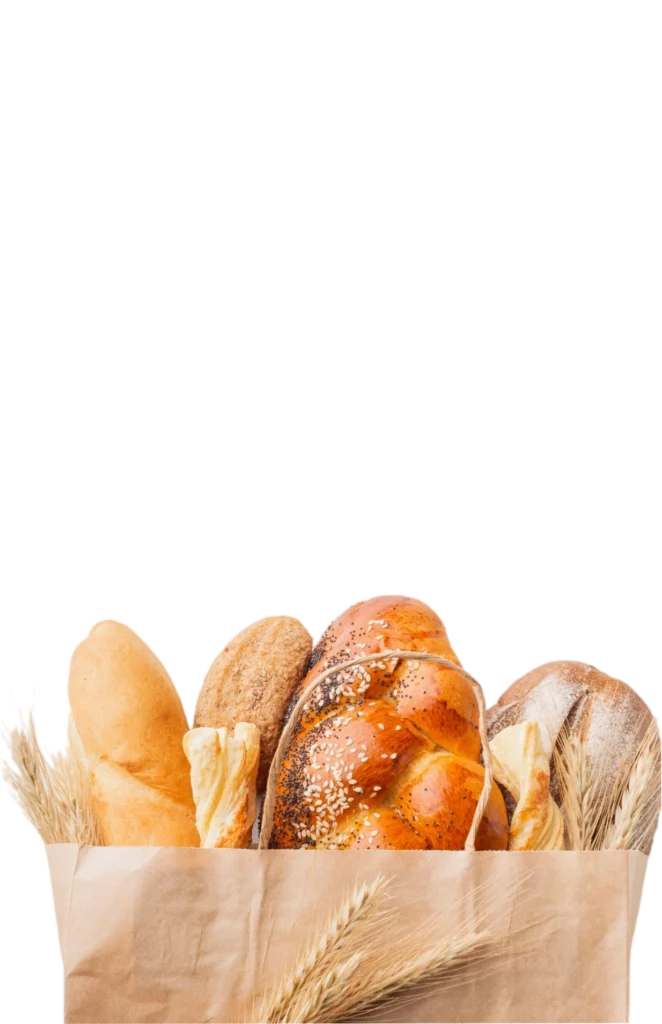 Maison Dion Boulangerie Boulangerie Cosse Le Vivien 2